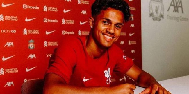 国产精品区一区二区免费