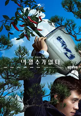 电视剧北风那个吹免费观看