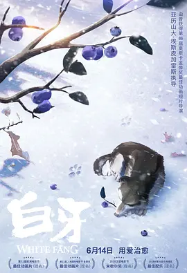 国产成人亚洲综合一区
