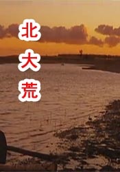 偷偷的欲望