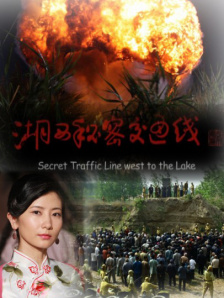 混血儿的继母