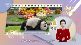 亚洲高清在线观看一区